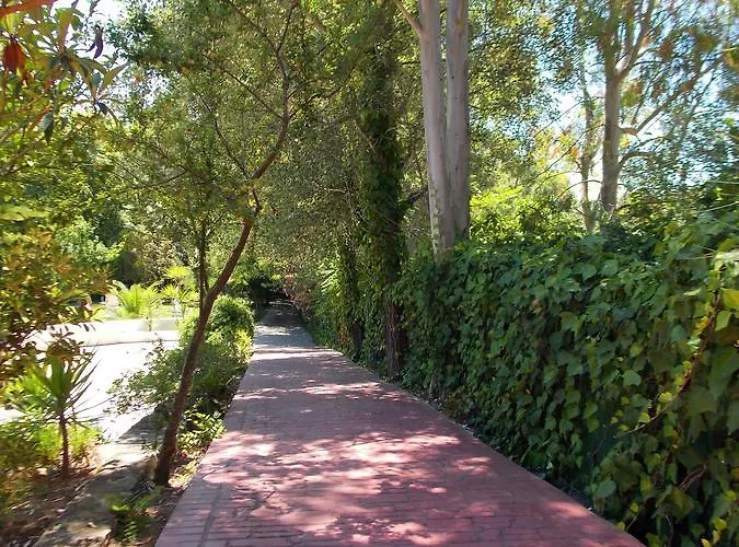 Apartament Skiathos Driades Koukounaries