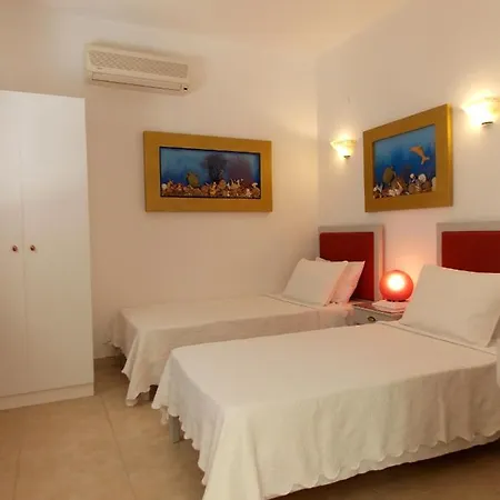 Skiathos Driades Apartment *