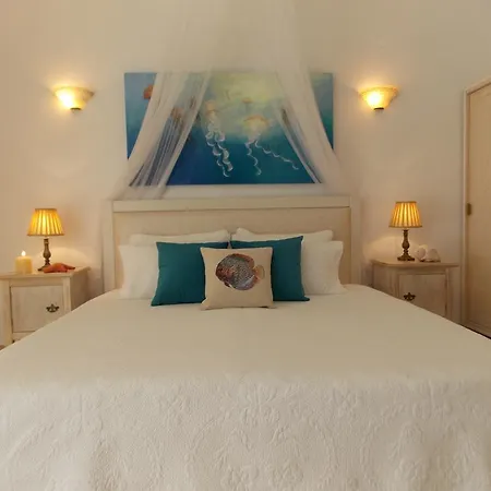 Skiathos Driades كوكونارييس