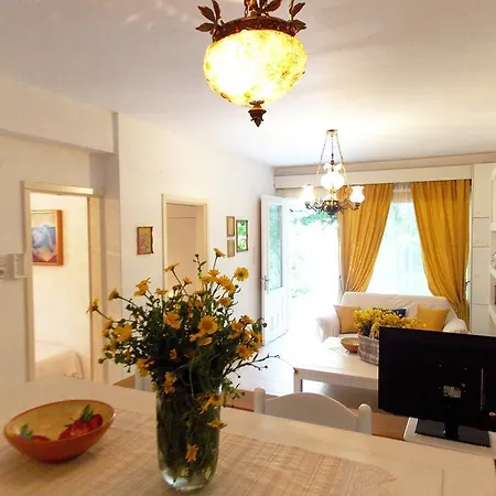Apartment Skiathos Driades *