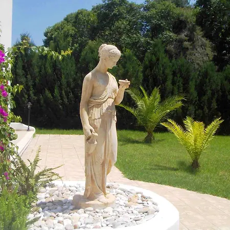 Skiathos Driades *