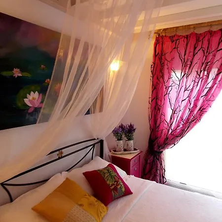 Skiathos Driades * كوكونارييس