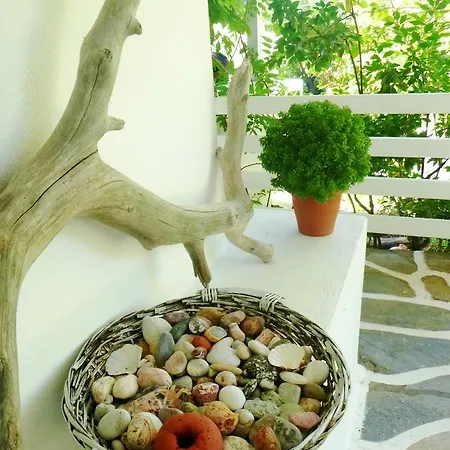 Skiathos Driades *