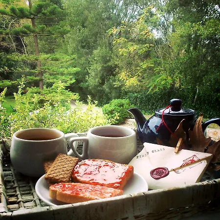 Apartament Skiathos Driades Koukounaries