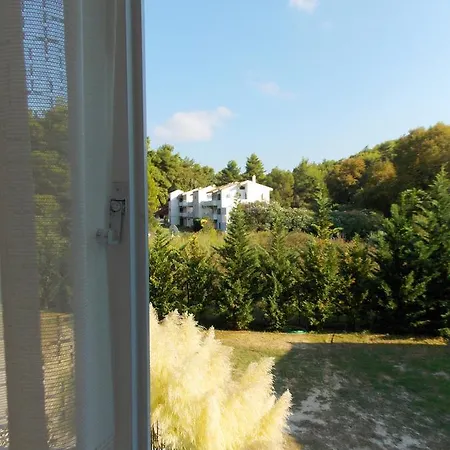شقة Skiathos Driades *