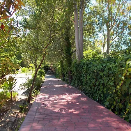 Apartamento Skiathos Driades Koukounaries