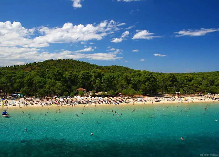 Skiathos Driades كوكونارييس
